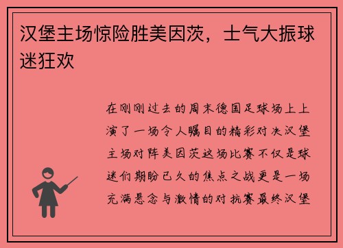 汉堡主场惊险胜美因茨，士气大振球迷狂欢
