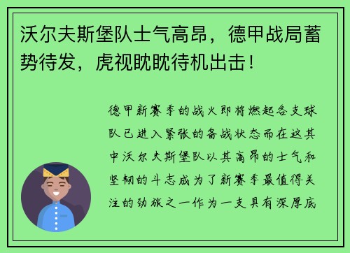 沃尔夫斯堡队士气高昂，德甲战局蓄势待发，虎视眈眈待机出击！
