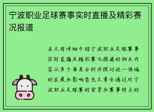 宁波职业足球赛事实时直播及精彩赛况报道